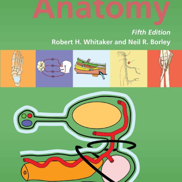 Instant Anatomy